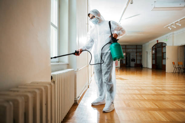 Emergency Pest Control in West Long Branch, NJ